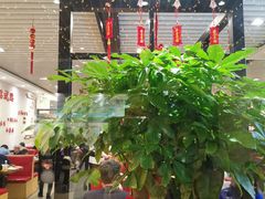 -赏点粤式点心(广州塔店)