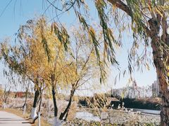 -前关湿地公园