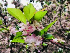 -白鹭湾湿地公园