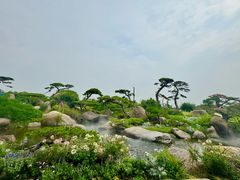 -罗红摄影艺术馆