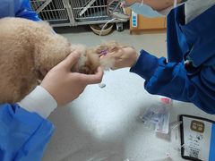 -联合动物医院(光谷诊疗中心)