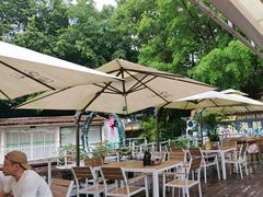 -芭厘农庄老字号·清远鸡