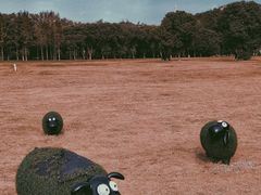 -山明水秀大饭店