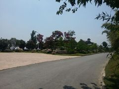 android_upload_pic-中国唐苑