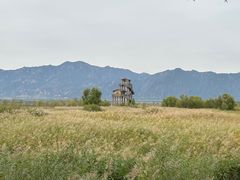-野鸭湖国家湿地公园