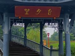 -眉山湿地公园(东坡区)