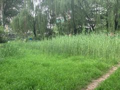 -西安市长乐公园