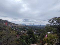 -清境桃源