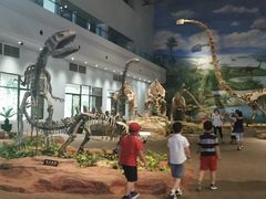 -自贡恐龙博物馆