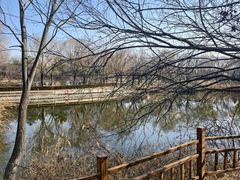 -燕郊植物园