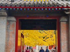 -承恩寺