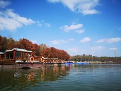 -上海海湾国家森林公园