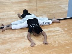 -嗨动跆拳道体能馆(菜百店)