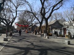 -北京国子监胡同