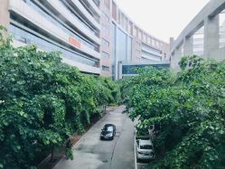-河南省儿童医院(郑东院区)
