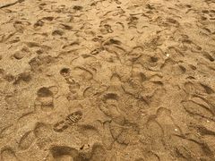 -北海市海滨公园