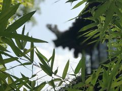 -杨裕兴(十全街店)