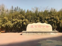 -莲花池公园