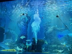 -哈尔滨波塞冬海底世界