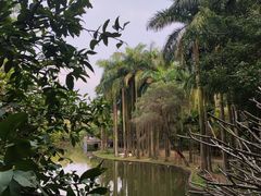 -滴水岩森林公园