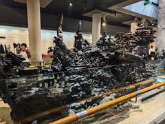 -乐山乌木文化博览苑