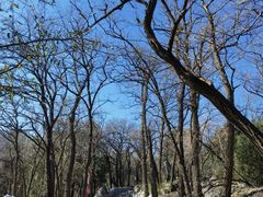 -阳台山自然风景区