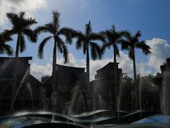 -亚马逊丛林水乐园