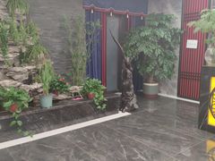 -尊足养生·影院足道·主题spa·采耳(浦江店)