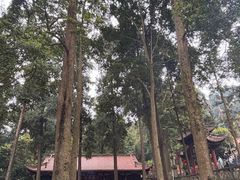 -都江堰普照寺
