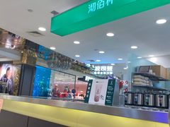 -沏佰杯(金元宝店)