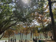 -凤岗南门山森林公园