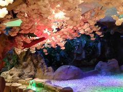 -威尼斯温泉会馆(青龙山大街)