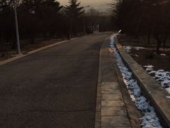 -北京鹫峰国家森林公园