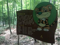-众神白水涧景区