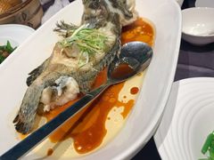 清蒸老虎斑-徐记海鲜(曲江南湖店)