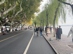 -楼外楼(西湖景区孤山路店)