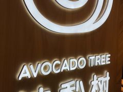 -油梨树AVOCADO TREE(嘉里中心店)