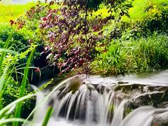 -中国茶叶博物馆(双峰馆区)