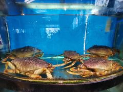 -莆鑫海鲜城(浏河店)