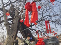 -牟氏庄园