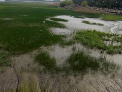 -上海长江河口科技馆