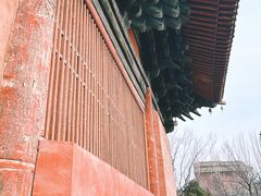 -善化寺