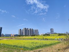 -光明小镇欢乐田园