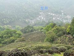 -龙井壹号·茶缘山景宴(龙井村店)
