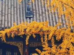 -古大圣慈寺