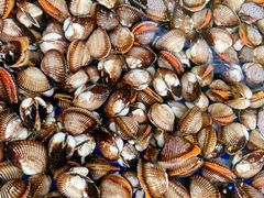 -芦潮港集贸市场