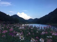 -广州市石门国家森林公园