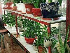 -北京龙庆四季香农家饭庄·灶台鱼·碳烤虹鳟鱼(龙庆峡店)