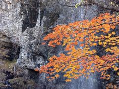 -关门山森林公园