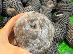 -宁波国际会展中心